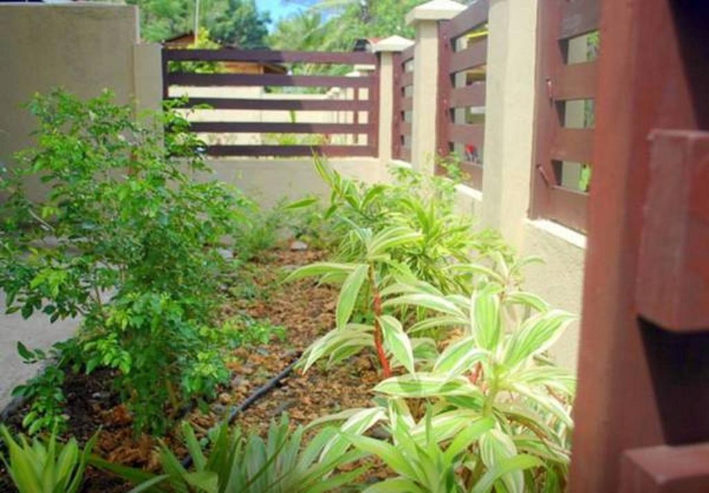 Gaea'S Apartments Panglao Kültér fotó